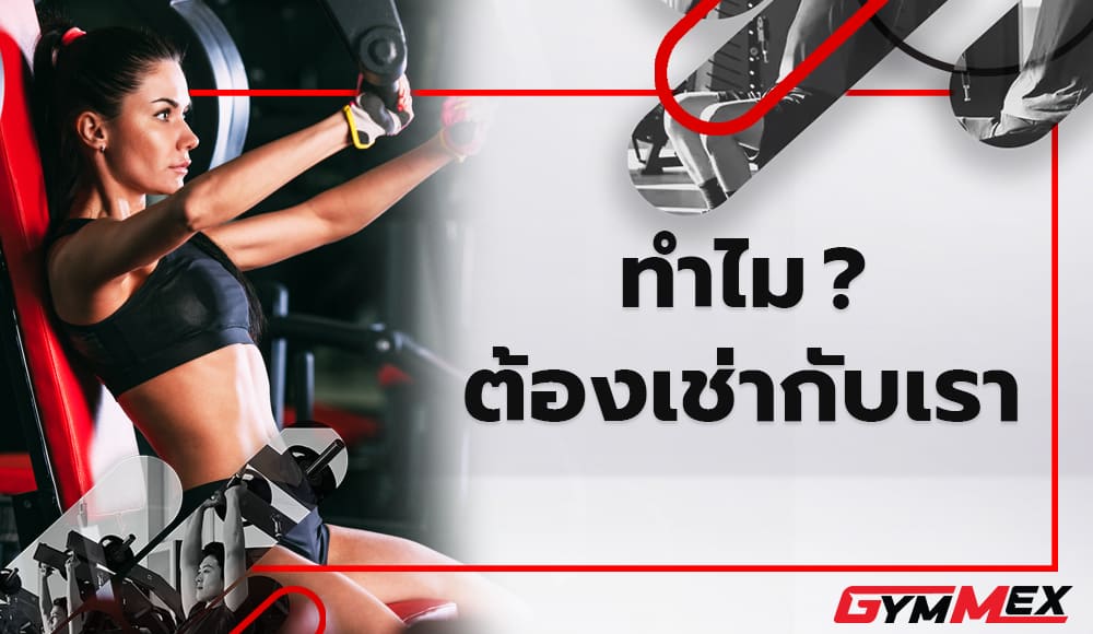 Gymmex ให้เช่าเครื่องออกกำลังกาย เกรดฟิตเนส ให้เช่าStrength Series